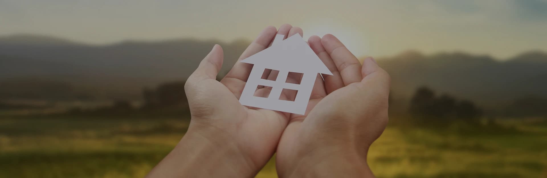 CHOOSE WISELY. CHOOSE ZOCOO.